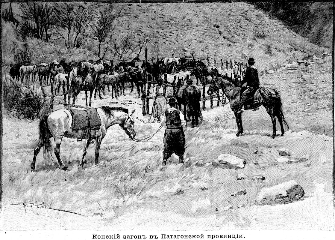 661 Конский загон в Патагонской провинции